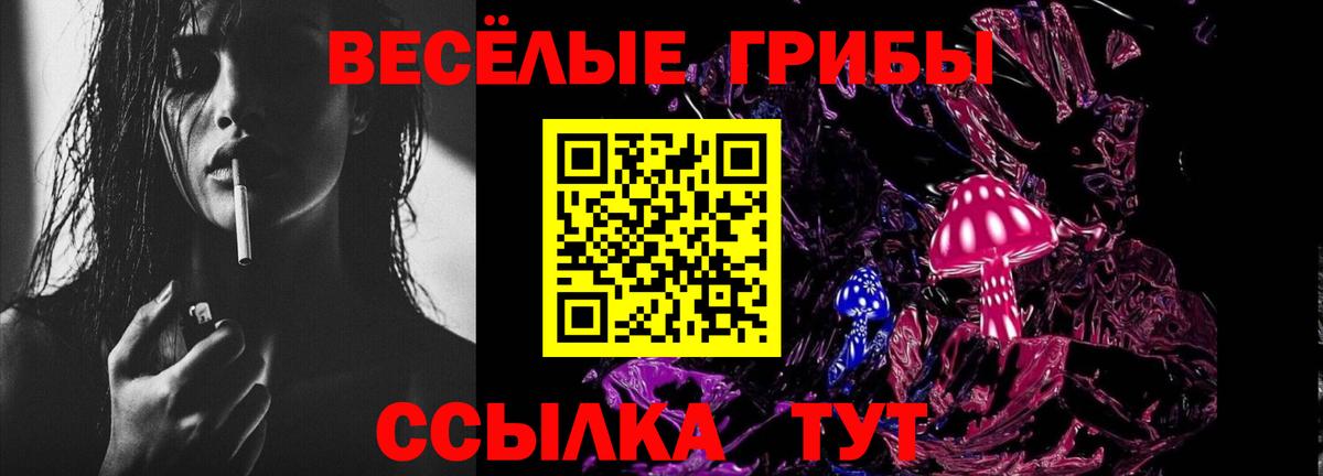 Псилоцибиновые грибы Psilocybe  Вход с VPN  Ноябрьск 